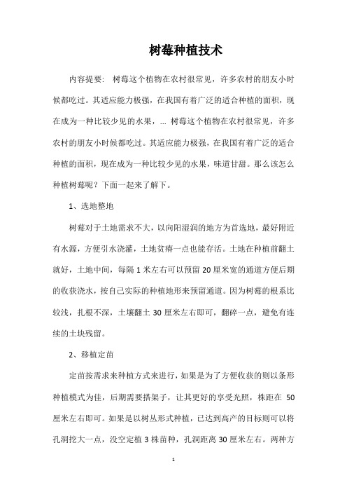 树莓种植技术