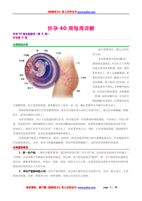 怀孕必读：孕期40周详解