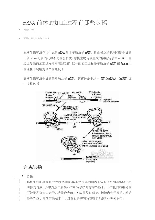 前体mRNA的剪接过程