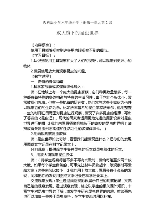 教科版小学科学六年级下册《一 微小世界 放大镜下的昆虫世界》优质课教学设计_9