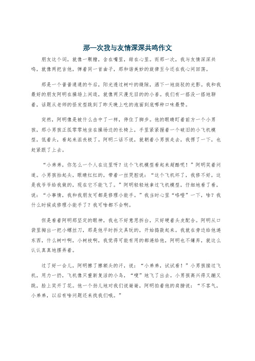 那一次我与友情深深共鸣作文