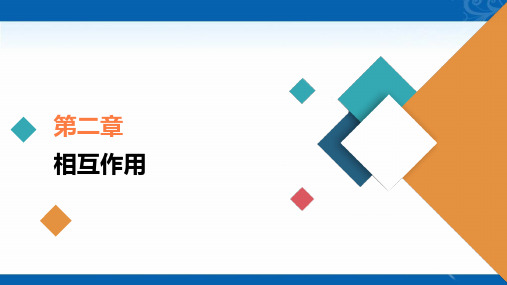 2021新高考物理选择性考试B方案一轮复习课件-重力、弹力、摩擦力