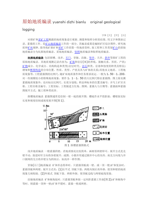 原始地质编录