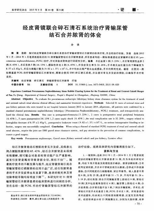 经皮肾镜联合碎石清石系统治疗肾输尿管结石合并脓肾的体会