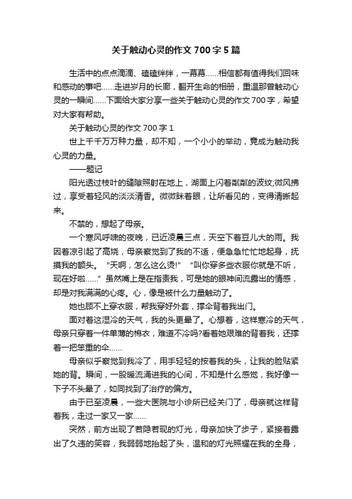 关于触动心灵的作文700字5篇