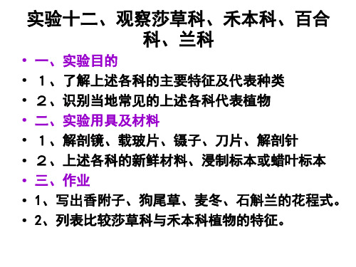 实验十四、观察菊科、莎草科、禾本科、百合科、兰科