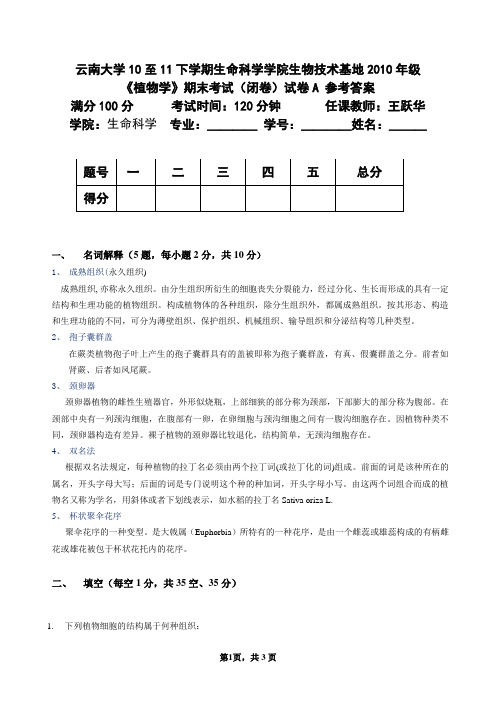 植物学期末试题A参考答案