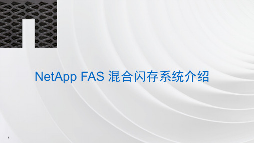 NetApp FAS混合闪存系统介绍