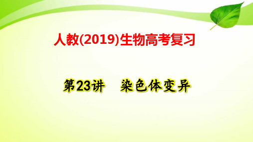 人教(2019)生物高考复习：第23讲 染色体变异