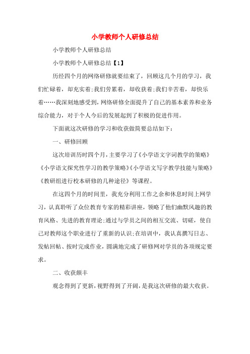 2019年小学教师个人研修总结