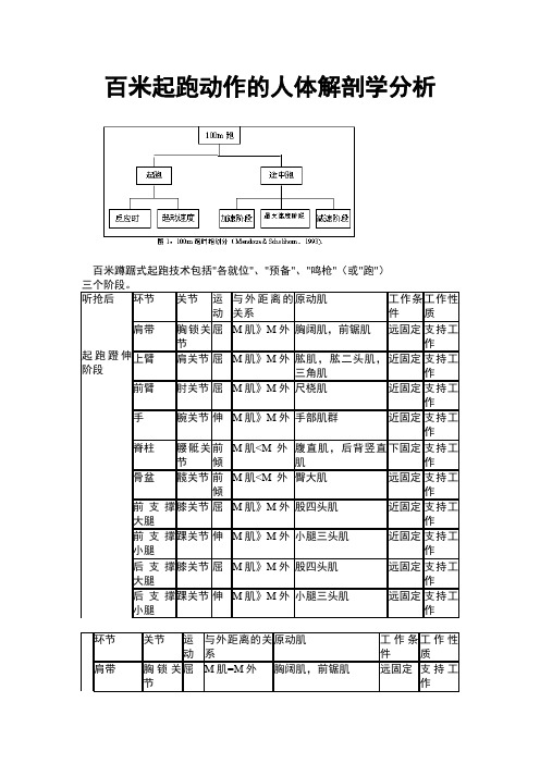 百米起跑动作的人体解剖学分析