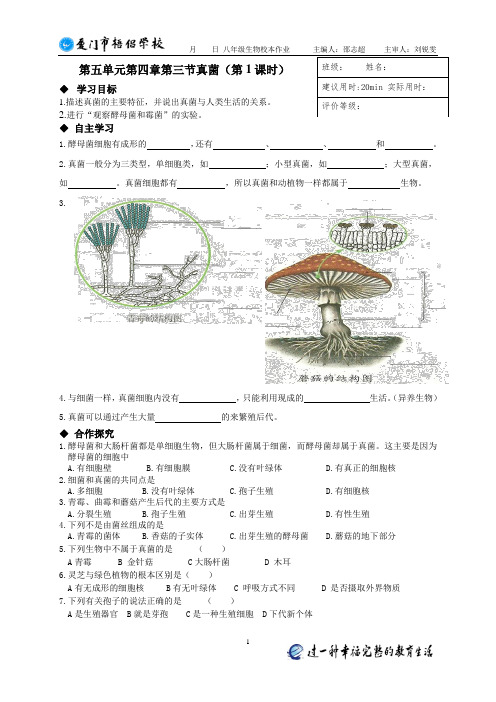 第五单元第四章第三节真菌