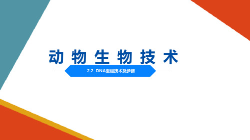 动物基因工程—DNA重组技术及步骤