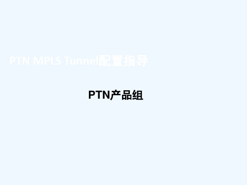 PTN MPLS Tunnel配置指导