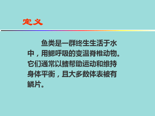 鱼纲的形态结构