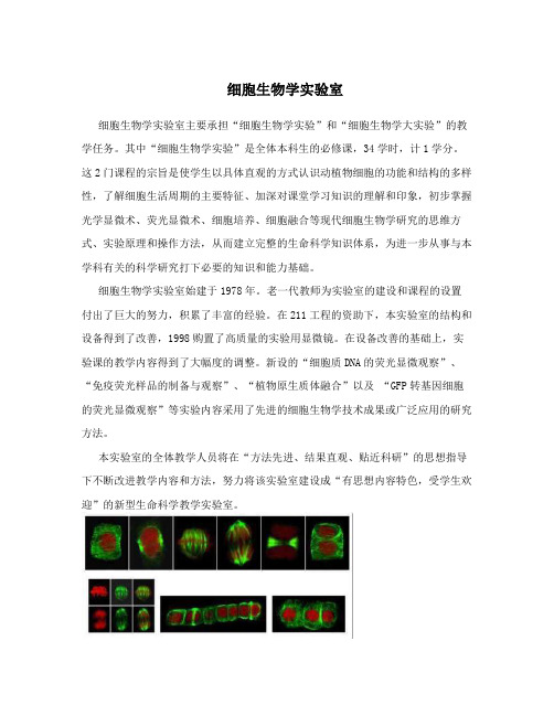 细胞生物学实验室