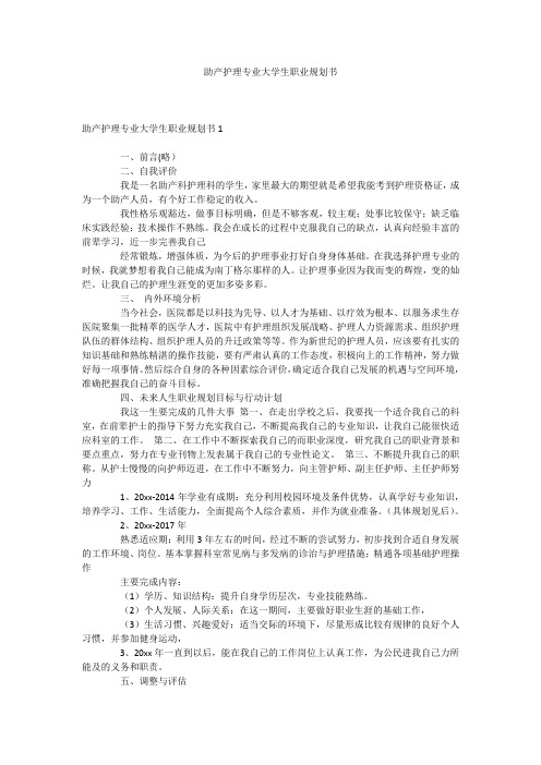 助产护理专业大学生职业规划书