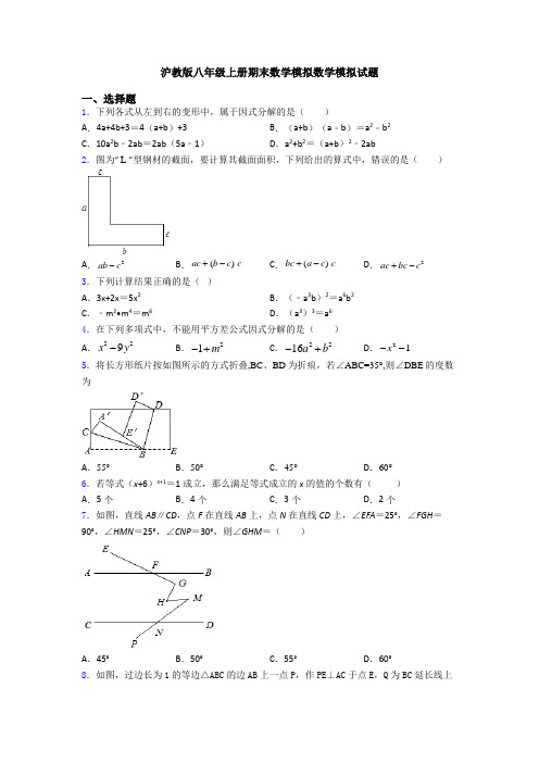 沪教版八年级上册期末数学模拟数学模拟试题