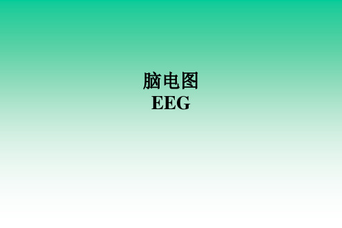 脑电图(EEG)