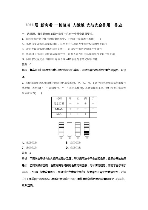 2022新高考 一轮复习 人教版 光与光合作用  作业