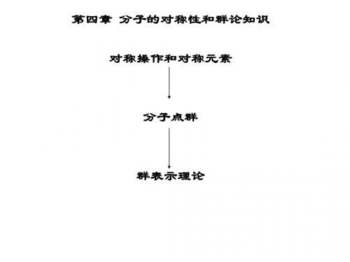 分子的对称性和群论知识