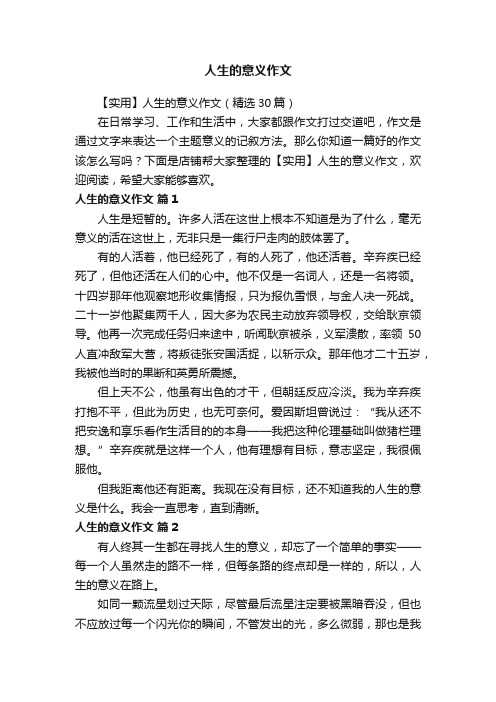 人生的意义作文