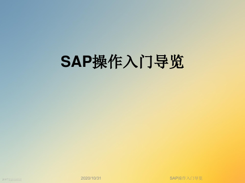 SAP操作入门导览