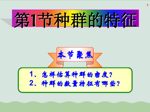 种群的特征PPT课件全解22 人教课标版