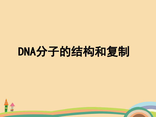 高二生物DNA分子的结构和复制PPT教学课件 (2)