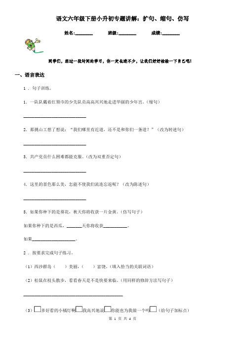 语文六年级下册小升初专题讲解：扩句、缩句、仿写