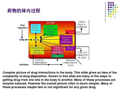 87药物动力学在新药研究中的应用