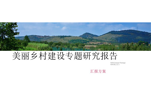 美丽乡村建设专题研究报告