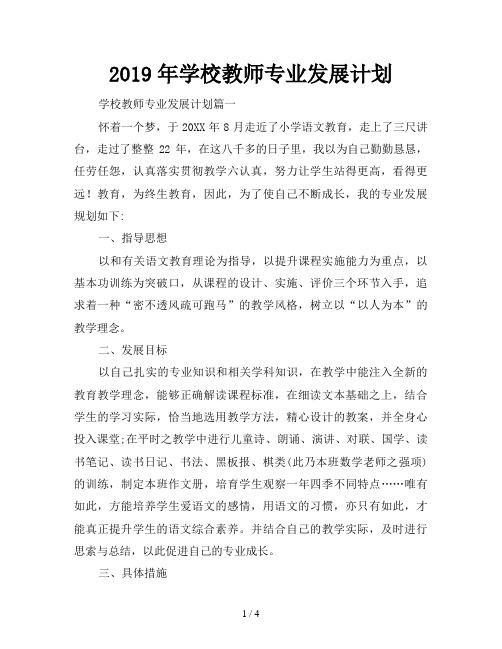 2019年学校教师专业发展计划