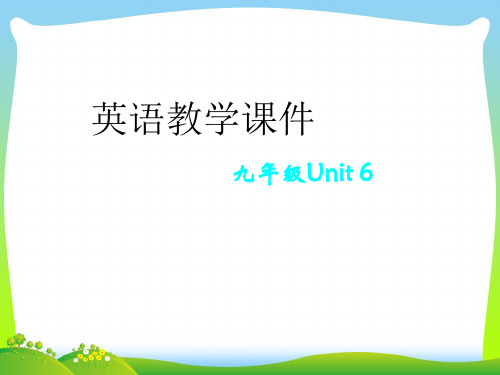 人教版英语九全Unit 6 Section B(2a-2e)课件(共26张PPT).ppt