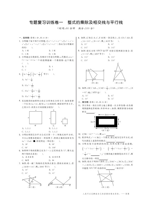 专题复习训练卷一·数学北师大版 七下-特训班