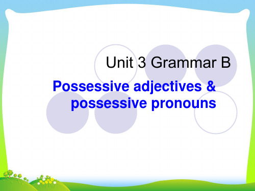 2021年牛津译林版七年级英语下册Unit3 Grammar B优质课课件