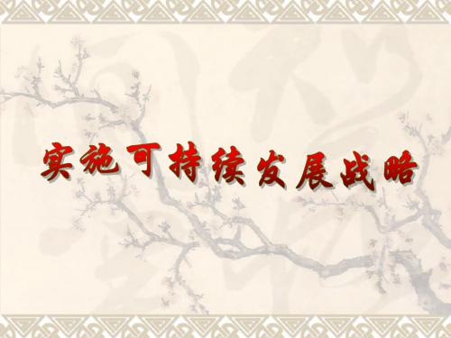 实施可持续发展战略 (1)