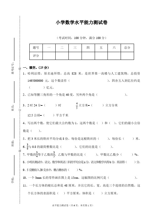 小学水平能力测试卷及答案