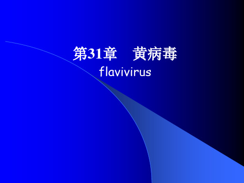 2019年第31章黄病毒flavivirus.ppt