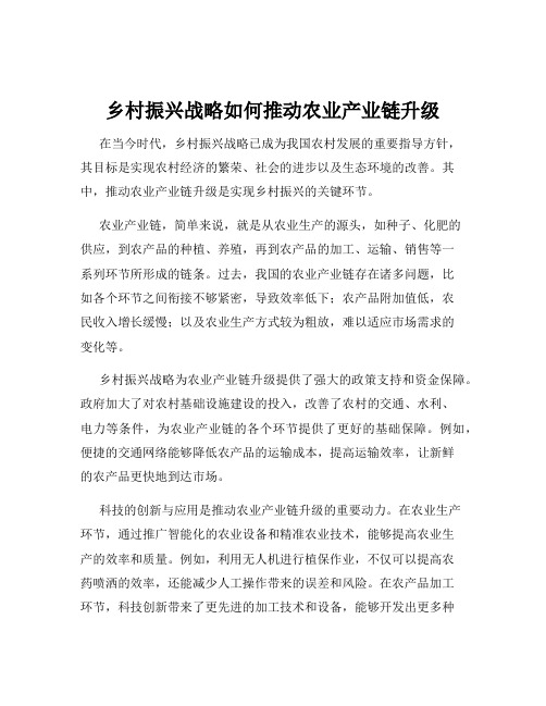 乡村振兴战略如何推动农业产业链升级