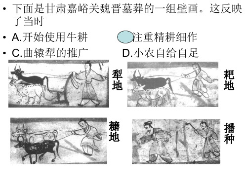 山东省德州市2013届高三校际联考历史经济史试题