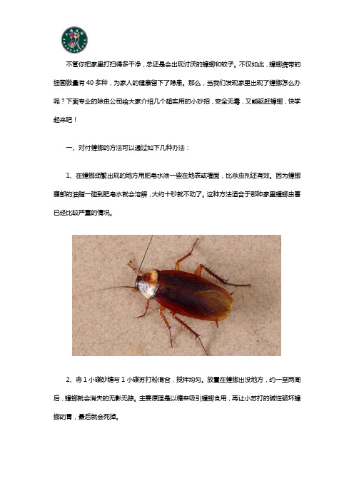 家里发现蟑螂怎么办