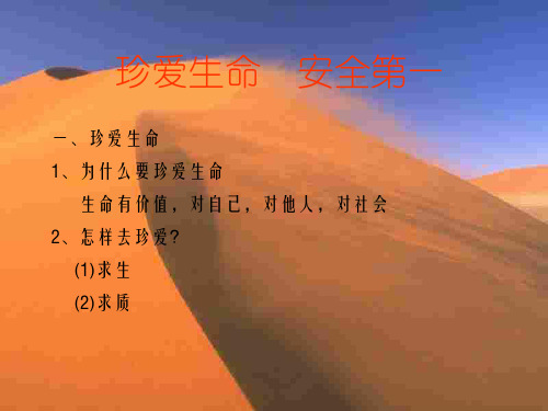 珍爱生命,安全第一(PPT)4-4