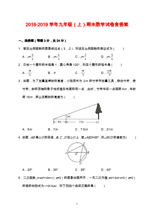 2018-2019学年九年级(上)期末数学试卷(含解析)