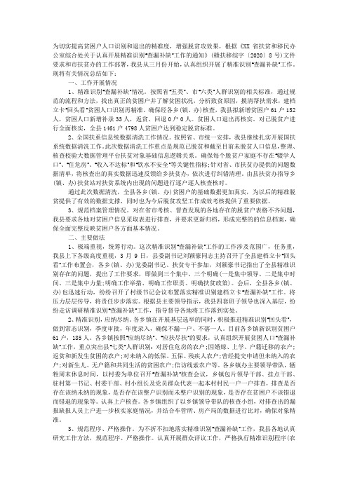 精准识别“查漏补缺”工作总结2020.docx