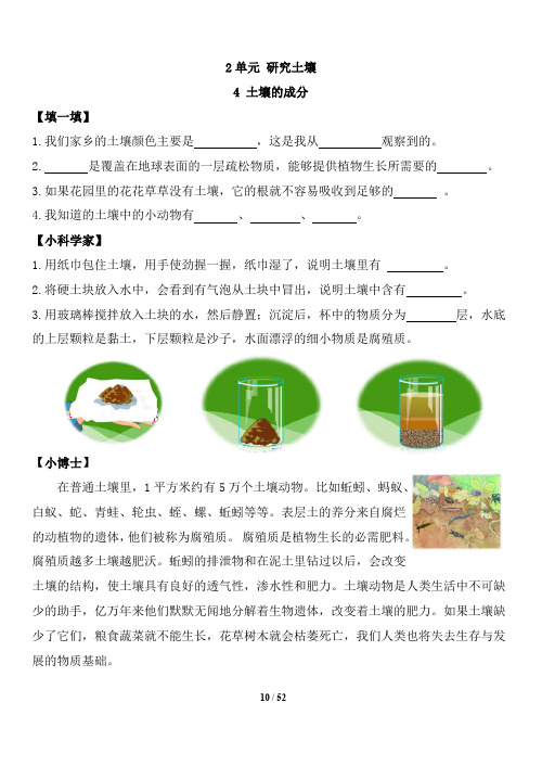 苏教版小学科学新教材三年级上册练习册.2单元 研究土壤