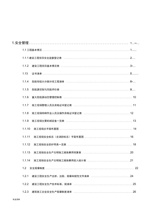 浙江省建设工程施工现场安全管理台账实例