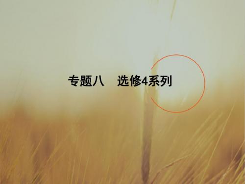 2018届高三数学文二轮复习课件全国通用方法突破 专题