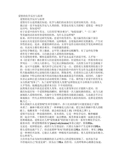 爱情的化学反应与原理