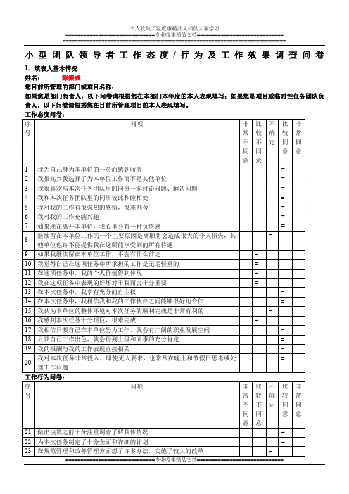 调查问卷(小型团队领导者绩效)